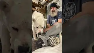Спасательная экскурсия по зимней сказке!