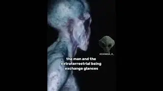 Shocking Leaked Video Emerges of Tall Grey Alien, 2024 #alien #drones #ufo #mystery #military