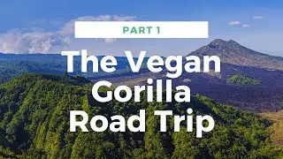 What Do Vegans Eat On A Road Trip?