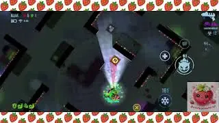 Twinkle in Action! | Bullet Echo Daily!🍓(D-1)