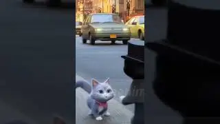 Pais Gatos e filhotes. #animalshorts