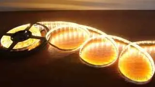 Светодиодная лента SMD3528, 120 led/m, IP20, Multi White