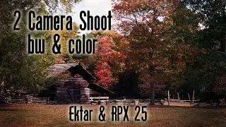 Film Photography - Shooting Color and BW - T70 and Mamiya