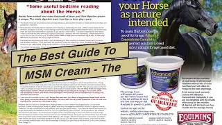 The Best Guide To MSM Cream - The Holistic Horse
