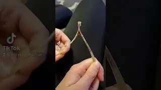 How to make wishes come true