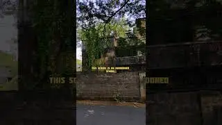 MYSTERIOUS HAUNTED SCHOOL ☠️😨😨| HORROR 😱#trending #horror #viralvideo #viralshorts
