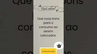 Como saber se os ovos est&atilde;o bons para o consumo? #curiosidades #cozinha #dicasdecozinha