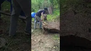 Amazing of Large Wooden #davidman #woodturning #big #wood #big #large