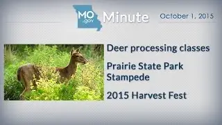 MoGov Minute - October 1, 2015