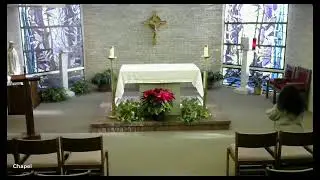 1-22-26: Thursday of the 2nd week in Ordinary Time