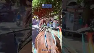 RADAR GRESIK, Asyiknya Tradisi Dokaran di Gresik Usai Lebaran