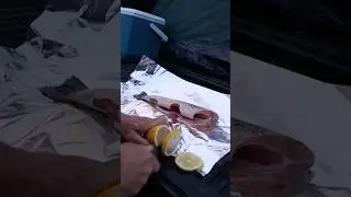 My Life Fishing Camping Saskatchewan