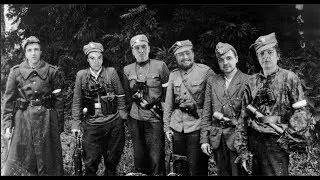 ОНИ БОРОЛИСЬ ЗА ПОЛЬШУ (ArmA3)