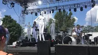 MNQN LIVE- Animal Oddity