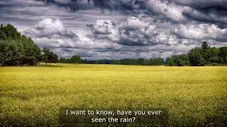 Have You Ever Seen The Rain