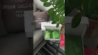 Идеальный Green fiber найден!