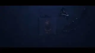 Defi Doge Promo !