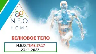 N.E.O.TIME 17:17. ⚪️ БЕЛКОВОЕ ТЕЛО ⚪️ Запись эфира 23.11.2023