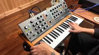 Bruno Mars - 24K Magic (Synth Bass Cover) Poly D