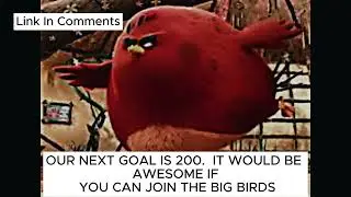 200 members vid #bird #funny #meme #discord #dabiggestbird