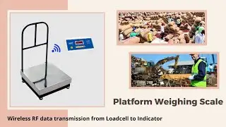 PHOENIX | Platform weighing scale with RF data transmission from Loadcell to Indicator Box.