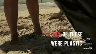 SPREP International Coastal Clean-up Days