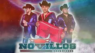Novillos De La Sierra 💗💗  Música de la Sierra 2025