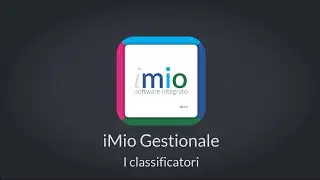 iMio Gestionale La gestione dei Classificatori