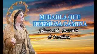 Miradla que Hermosa Camina || Himno a la Asunción de Cantillana