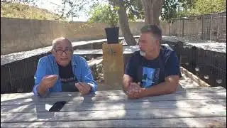 Criadero Mechas gallos españoles parte 5