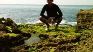 La Nature Sauvage 