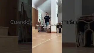 Una cucaracha voladora 😂🪳