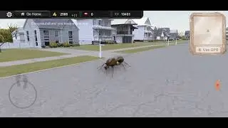 игра Ant Sim Tycoon 1 серия