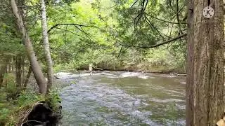 Site 19 to Bagley Rapids