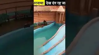 Inke karnaame dekh kar tanj reh jayenge 😱#crazyxyz @mr Indian hacker #short #experimentking
