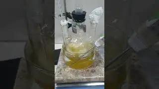 Evaporation With Reflux Set Up
