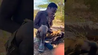 What do Adivasis boil and eat from volcanic springs #shortsvideo