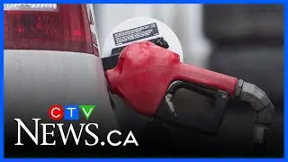 N.B. energy board shoots down Premier Holt&rsquo;s attempt to lower gas prices