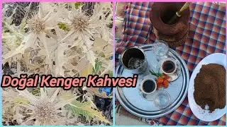 Doğadan Doğal Kenger Kahvesi#Kenger Kahvesi Nasıl Yapılır#köydehayat#köy#doğa#yemektarifler#temizlik