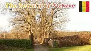 VERY RELAXING & BEAUTIFUL VIEW OF THE NATURE // WONDERFUL NATURE OF BELGIUM // EUROPE // ELLA'SLIFE