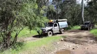 Cheeky river crossing
