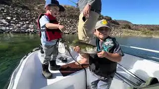 6lb bass and a 9lb flathead catfish at ￼diamond valley lake. 