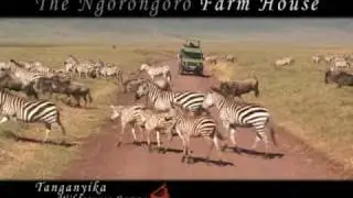 Ngorongoro Farm House