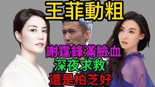 謝霆鋒滿臉是血求救張柏芝！王菲深夜發瘋掄凳子砸人？那句“還是柏芝溫柔”徹底終結25年戀情#王菲#張柏芝#謝賢#鋒菲戀#豪門恩怨#Lucas#Quintus#四胎生女#娛樂大瓜#明星八卦#半山豪宅#家暴