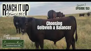 Can You Build A Foundation Cowherd From Scratch?  Absolutely