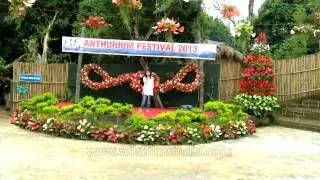 Mizo female singer mesmerises all