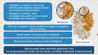 Dott. Alfonso Giubilato - NAO ed antidoti, a che punto siamo?