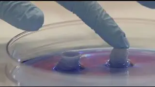Silk sponges that can help the body heal - ACS Headline Science