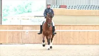 Teach your horse Half Pass with Matt Hicks