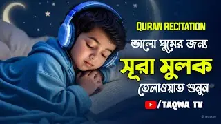 প্রশান্তিময় ঘুমের জন্য কুরআন তেলাওয়াত | best quran reader | Quran | Beautiful Quran Recitation